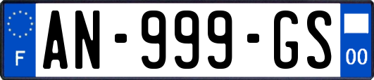 AN-999-GS