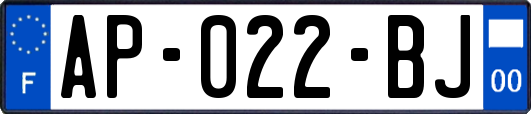 AP-022-BJ