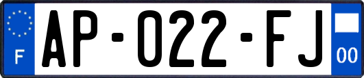AP-022-FJ