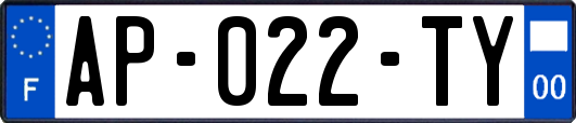 AP-022-TY
