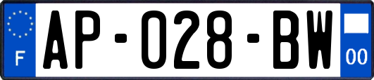 AP-028-BW