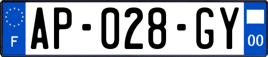 AP-028-GY