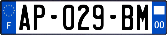 AP-029-BM