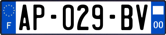 AP-029-BV