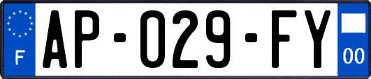 AP-029-FY