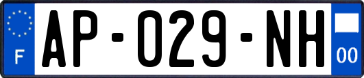 AP-029-NH