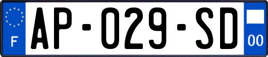 AP-029-SD