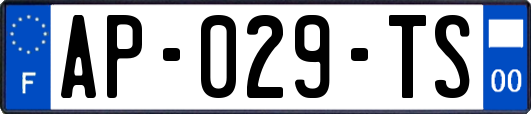 AP-029-TS