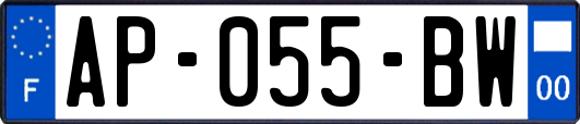 AP-055-BW