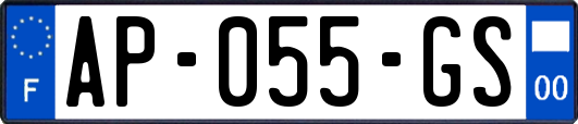 AP-055-GS
