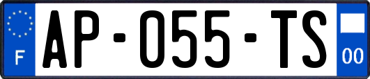 AP-055-TS