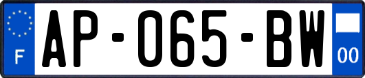 AP-065-BW