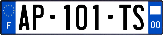 AP-101-TS