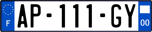 AP-111-GY
