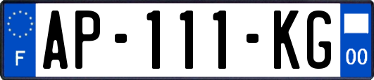 AP-111-KG