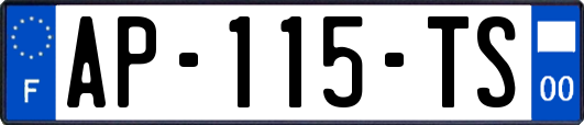 AP-115-TS