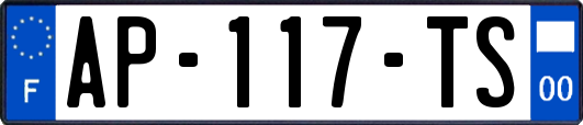 AP-117-TS