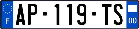 AP-119-TS