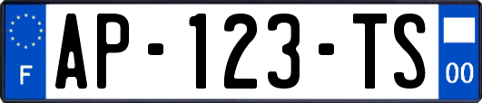 AP-123-TS