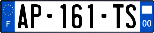 AP-161-TS