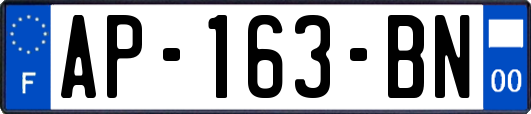 AP-163-BN