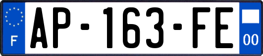 AP-163-FE