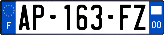 AP-163-FZ