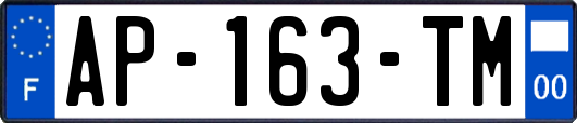 AP-163-TM