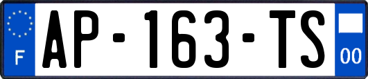 AP-163-TS