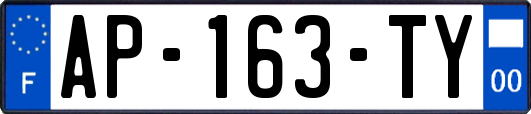 AP-163-TY