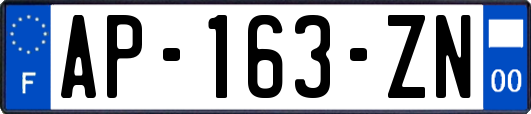 AP-163-ZN