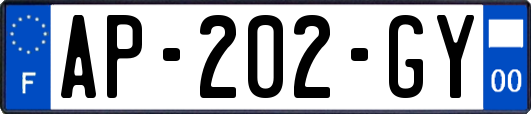 AP-202-GY