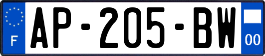 AP-205-BW