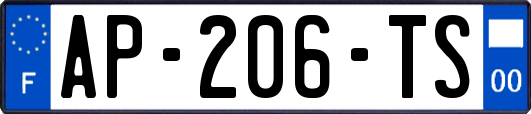 AP-206-TS