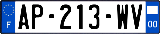 AP-213-WV