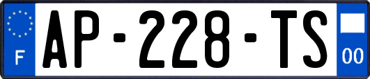AP-228-TS