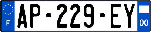 AP-229-EY