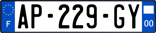 AP-229-GY