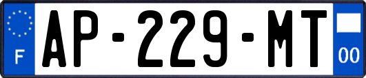 AP-229-MT