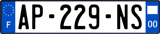 AP-229-NS
