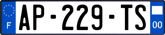 AP-229-TS