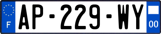 AP-229-WY