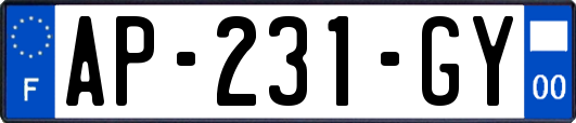 AP-231-GY