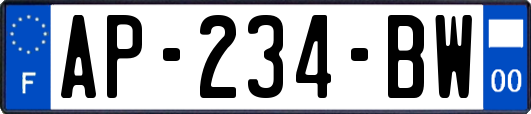 AP-234-BW