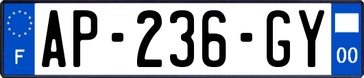 AP-236-GY