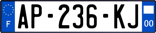 AP-236-KJ