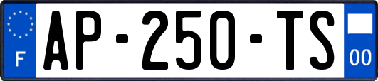 AP-250-TS