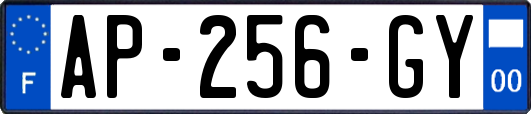 AP-256-GY