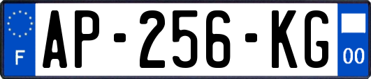AP-256-KG