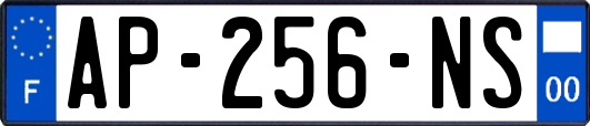 AP-256-NS